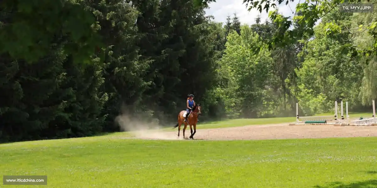 milan米兰🏓小球转动大梦想,每一次挥拍都是对生活的热情回应!